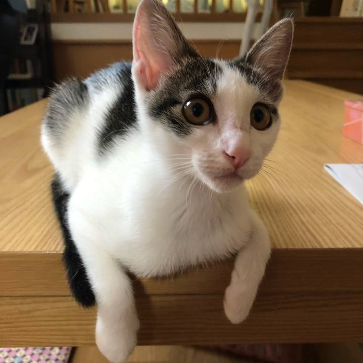 8cf6981c ec34 4b3d b2d0 6ba2148f2cb5 1566084990711