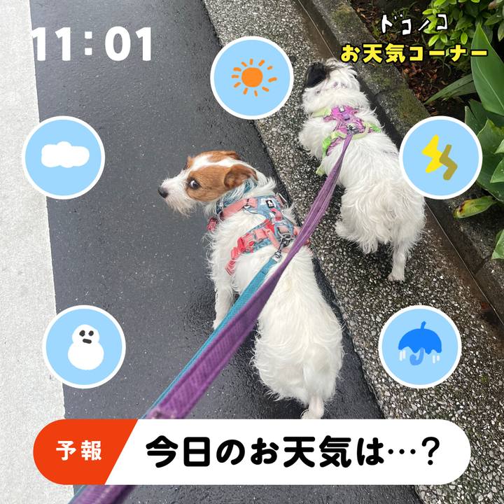 8cf6a52a a9d6 4388 8528 6144a92fd1ff 1781751431932
