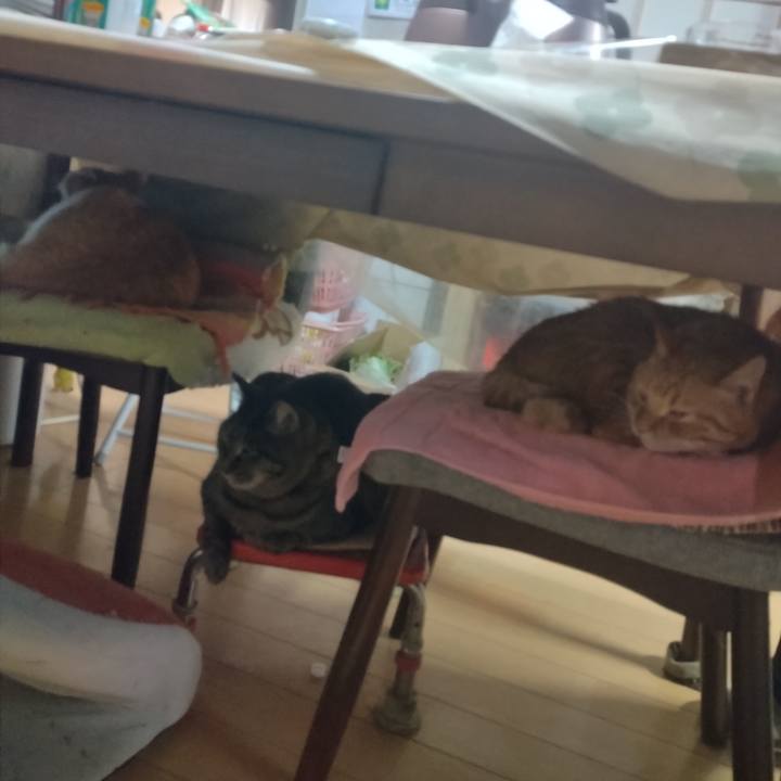 8cf6b39a a5c6 4317 a26f 1336a80161c9 1766101924611