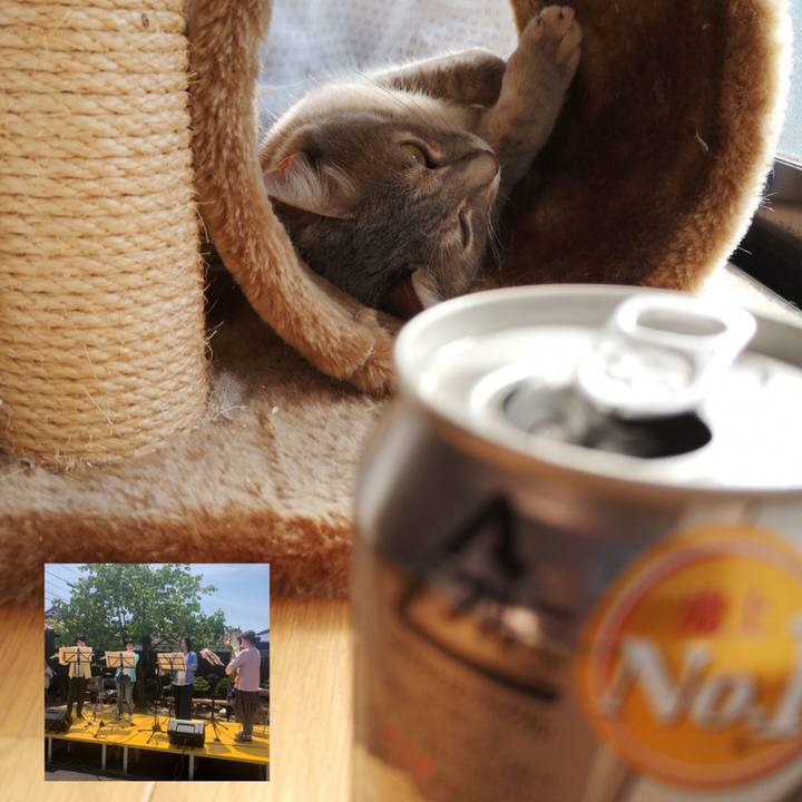 8cf6bcfa 2cba 4853 bf0e 1bb59d4f2e5c 1556952316362