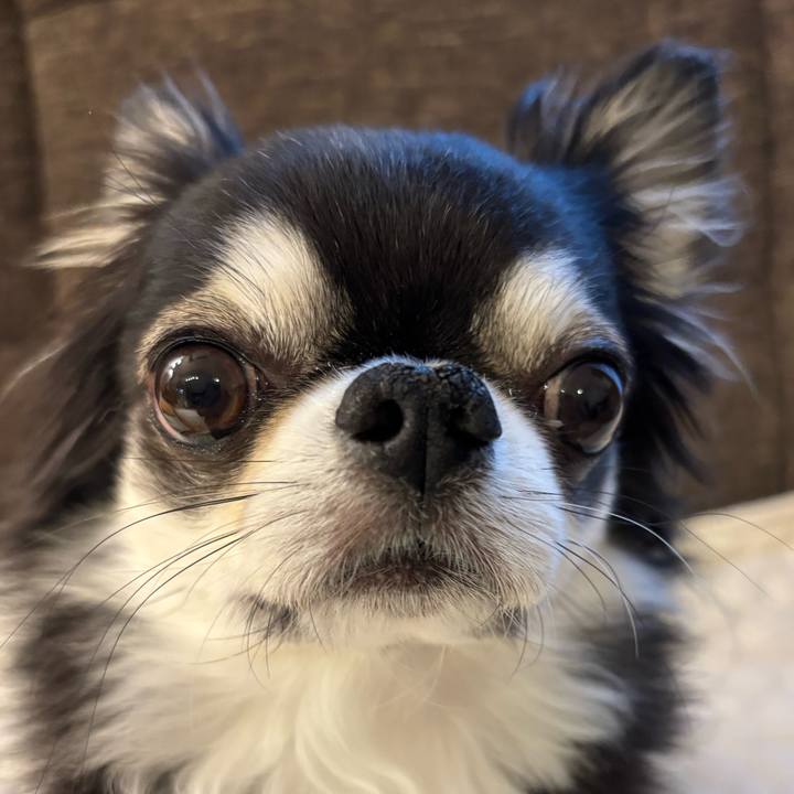 8cf6d42f a803 44cd 9c13 e91a24505dd7 1742079733426