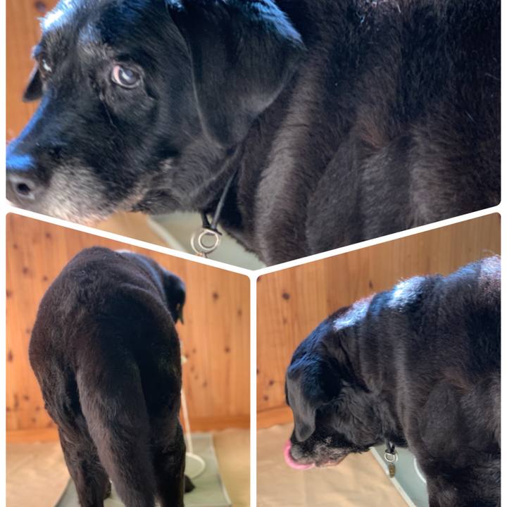 8cf6eceb 0a8f 42ad 94d8 81e512aeddba 1627716725739