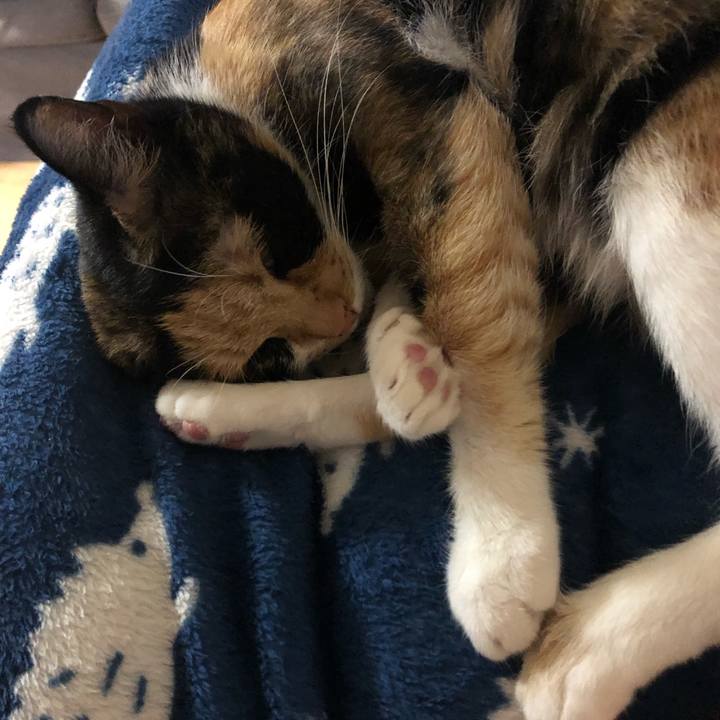 8cf6f16a 5e1b 4397 8ceb 236a7db02939 1561553775007