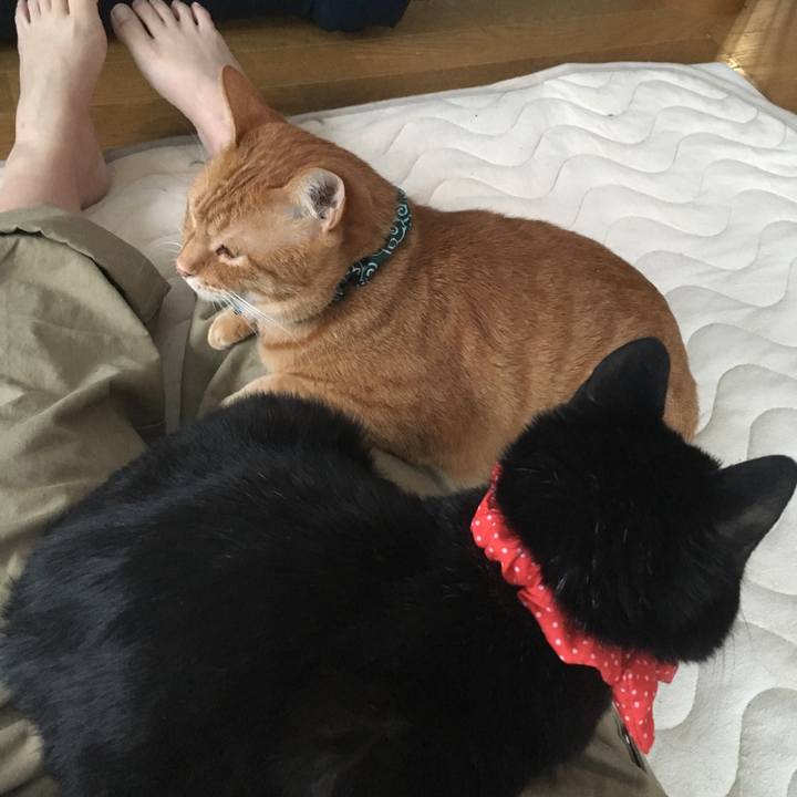 8cf702c1 7a2e 4901 8671 817d55902648 1546987158867