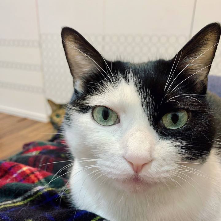 8cf7130a c572 42a4 a2e4 2cfa64db5854 1638230126898