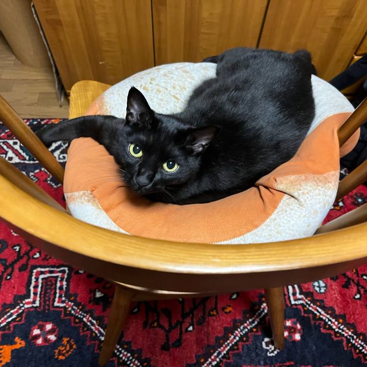 8cf7390c 593b 436f 8012 012c2d03a755 1697895652524