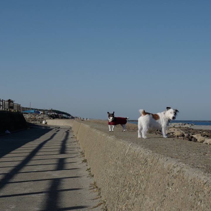 8cf73c11 5932 434a bdfc 0a5062fe495a 1552106215725