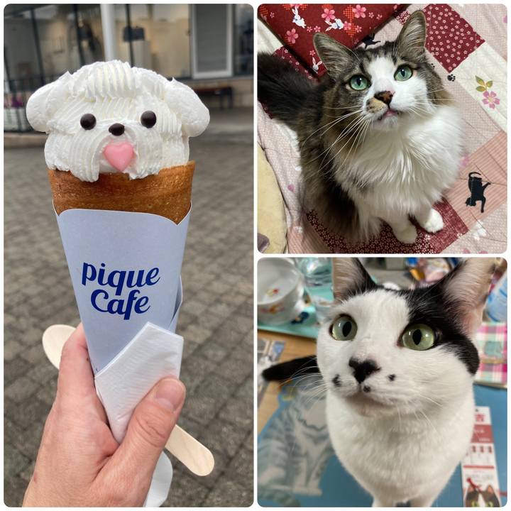 8cf756bf ea1e 4556 988b c9ecc407e693 1775041557070