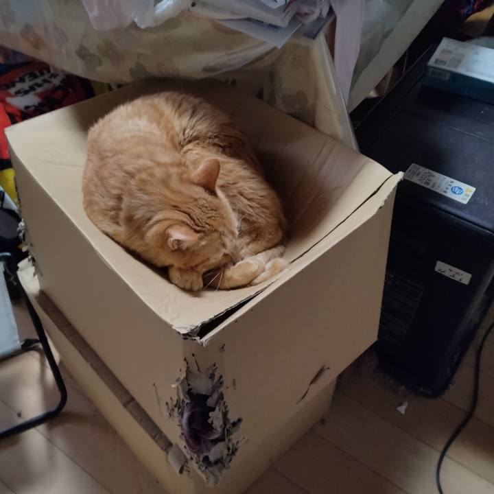 8cf82bb6 bf93 47d5 a94f c328a100e9cc 1679444408952