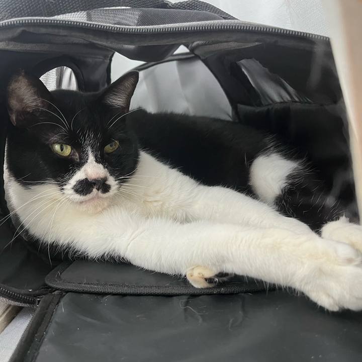 8cf82c32 4b13 4ab5 bc28 13438087edae 1699314323916