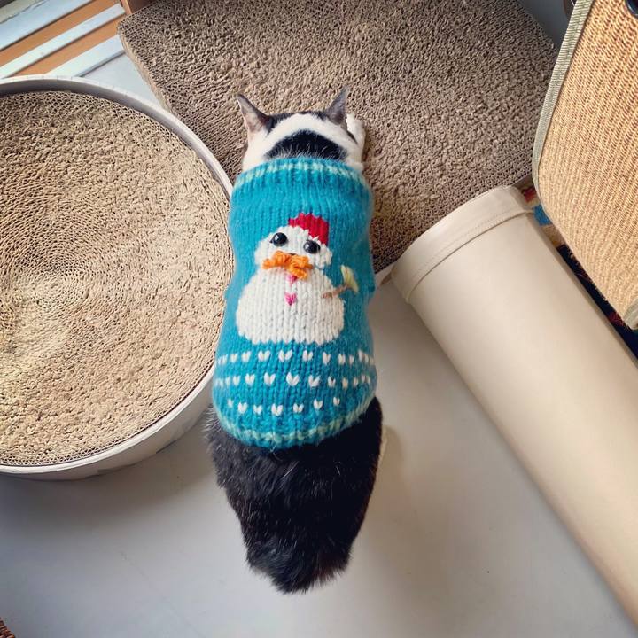 8cf887a7 831e 46fa 9865 5eac67fd919a 1610851649473