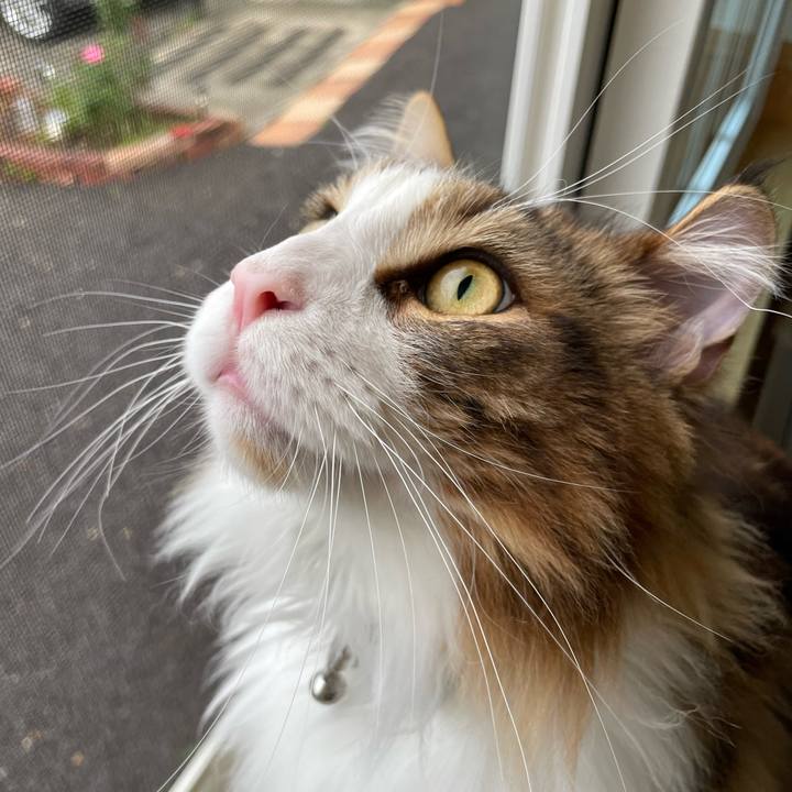 8cf88e64 7518 4fe7 a505 3c1a6bdfa213 1654200811129