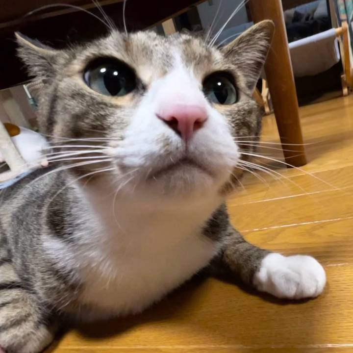 8cf89943 5f9b 4d76 b4cb 4b5d5bda5ebe 1753963271449