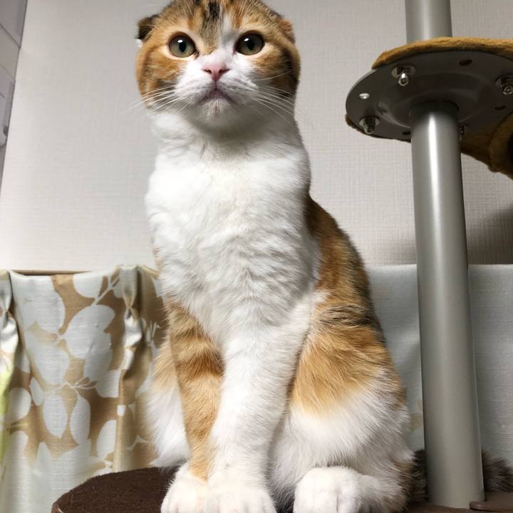 8cf8a0cf 90da 4239 a948 08114a0fb97e 1513069304261