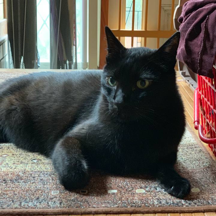 8cf8cf39 5b02 4b37 b8c8 62ea9bfd31b0 1562634207039