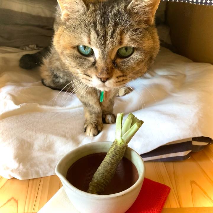 8cf9083e 9111 491a be5e 4096c1a45eb8 1620094954081