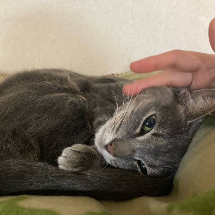 8cf92da0 38cf 41f4 93d9 1282143162d4 1672500733479