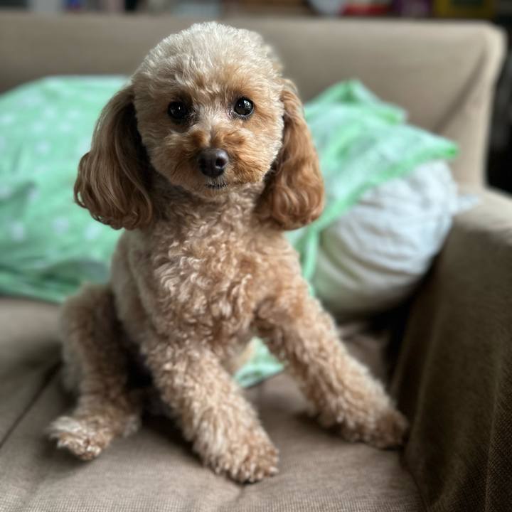 8cf93f16 0816 41a3 9c5d fc501bcc3d19 1763591570028