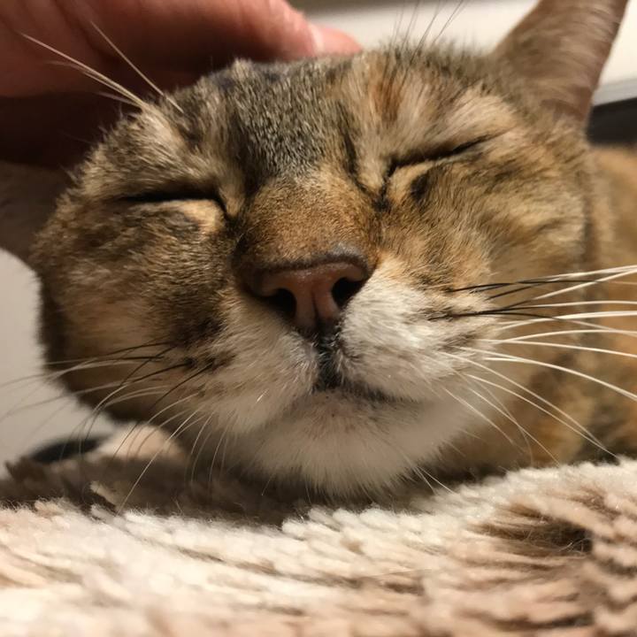 8cf97b2e 3fee 4bb9 9b62 1fe3c3d7c983 1510116153730