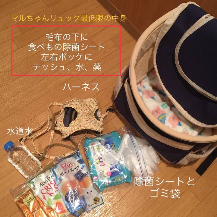 8cf99c12 a8b9 4d7b 9a31 e0778630daf8 1536758804472