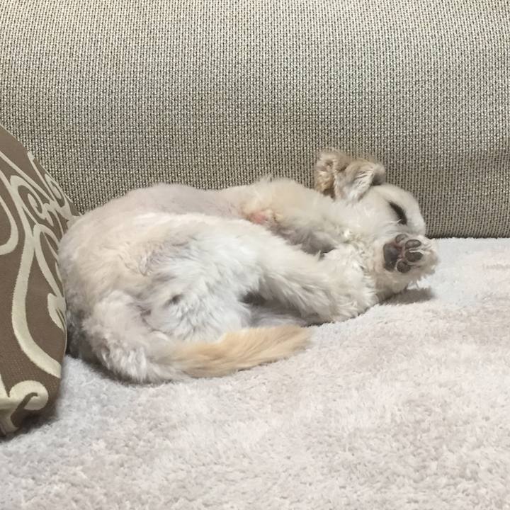 8cf9bd52 92fd 4091 aef8 6e419bfaf5f4 1513503003527