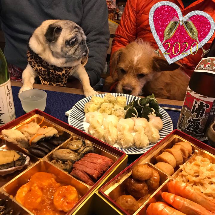 8cfa1b74 fbea 47b2 bbe2 6dbf7685f32c 1577841632181