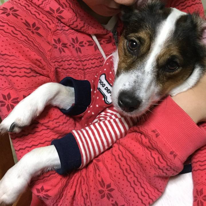 8cfa3587 0d5d 4105 a3e7 950d97f9f5b9 1510311110371