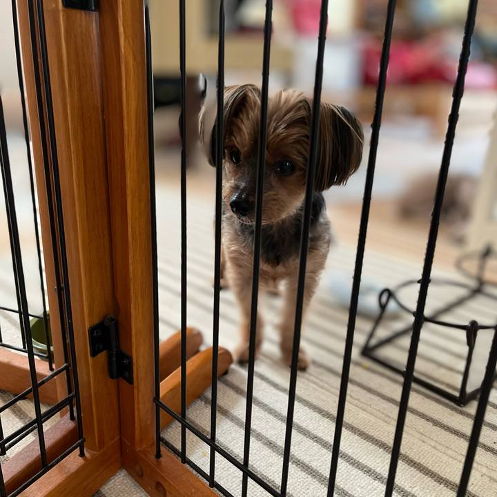 8cfa56c2 1ca3 47ef af66 b5a04c01194c 1651463381842