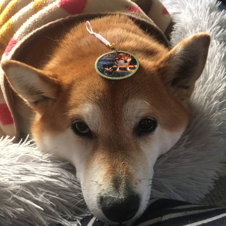 8cfab5e6 ada8 4612 b376 eb094dac1194 1644191955879