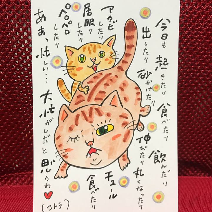 8cfac228 5556 4837 9226 bb48f95ce00f 1542977559906