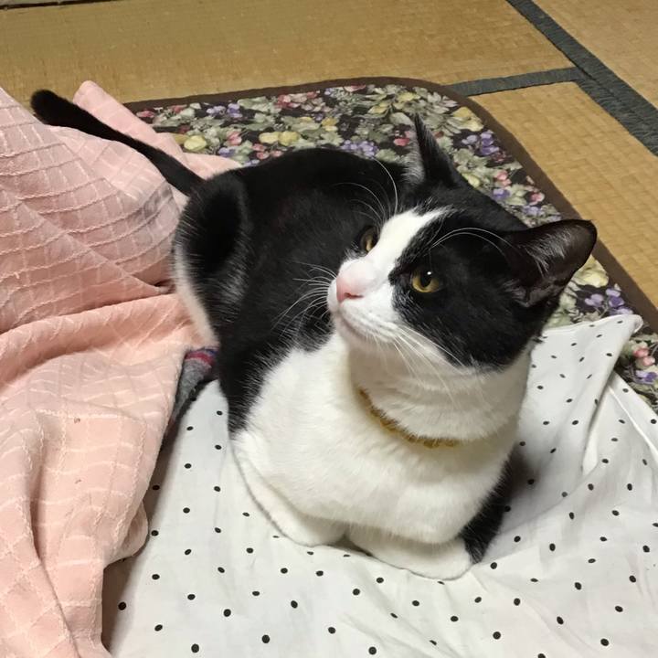 8cfacd85 9f8e 4aea bb60 efde5938e54f 1647681791096