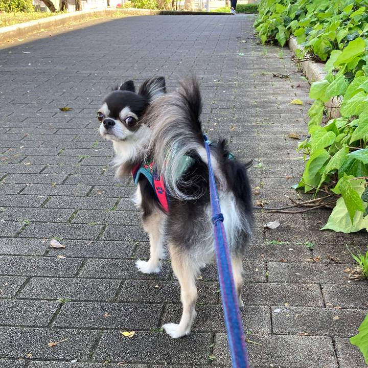 8cfb086c 780d 4553 8ae2 dfbb131aaa68 1714059519030