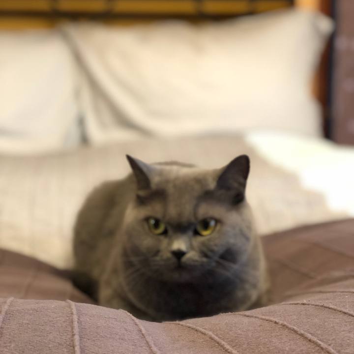 8cfb3c95 0091 4479 b0b0 5a1fb30e9dfc 1569043861261