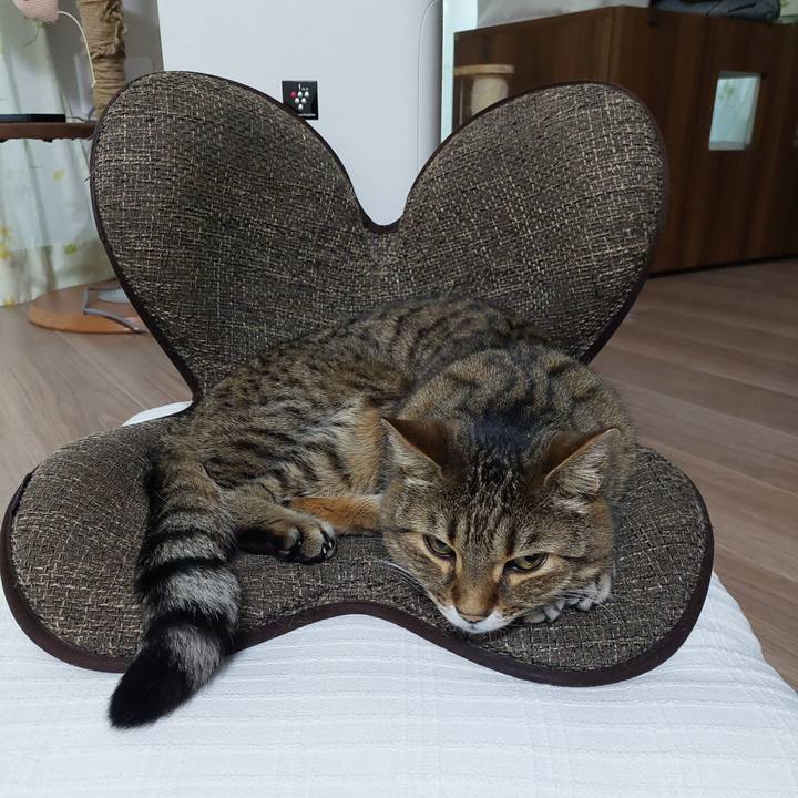 8cfb6cc0 eaae 45fb 9bba 668bb01d79a6 1740347283351