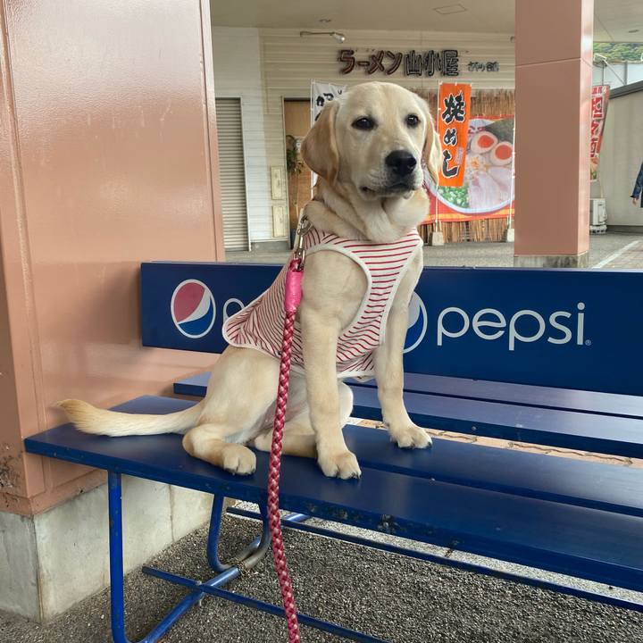 8cfb7ebe 3dd1 41d7 a08e 72abc08e7022 1620450862876