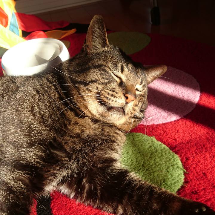 8cfc02ef 00b5 413b af88 b170fc65581b 1521628195061