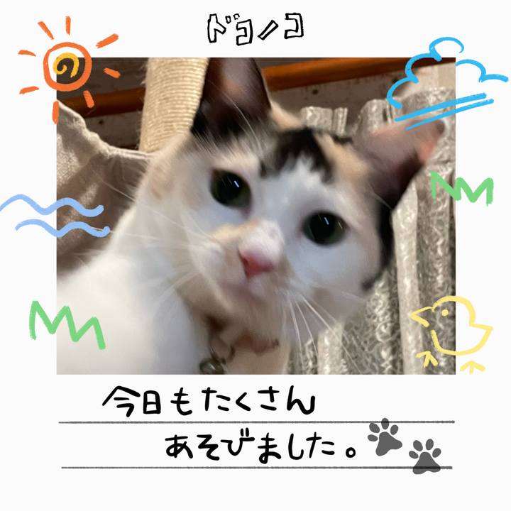 8cfc1782 cf8c 4f9a 85d9 288f26760634 1755082385458