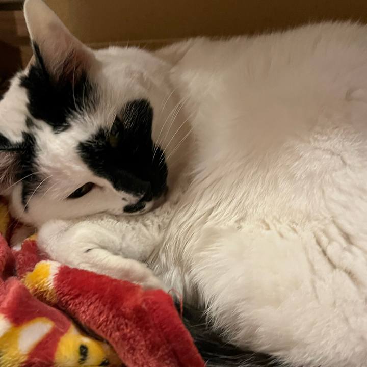 8cfc252f 55a0 4757 9167 6d0c13652b75 1770811942183