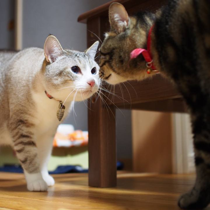 8cfc35ab 9829 4fb2 98ac dafce0878711 1594217017173