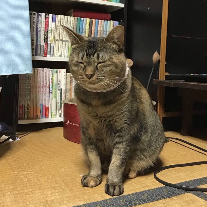 8cfc44dc f6f3 402e 8792 c12248e2719e 1694174046434