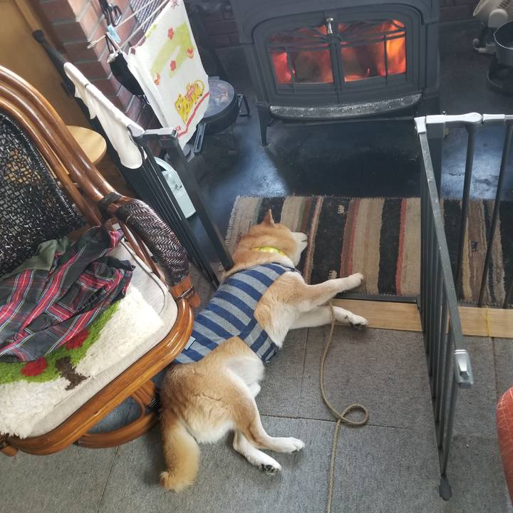 8cfc493e dfb3 475e 9d69 4941bba46998 1675143565891