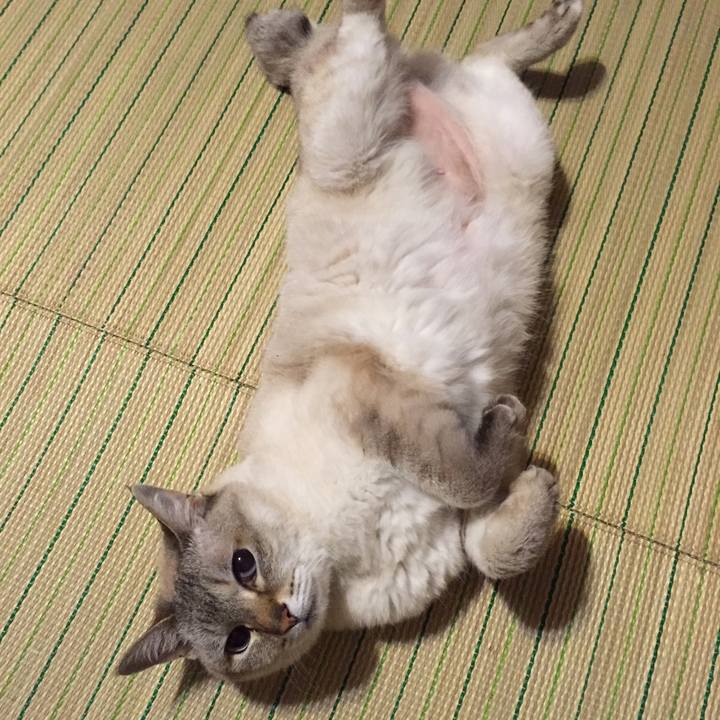 8cfc4b8c c015 423b 9683 4936e802720b 1529839232822