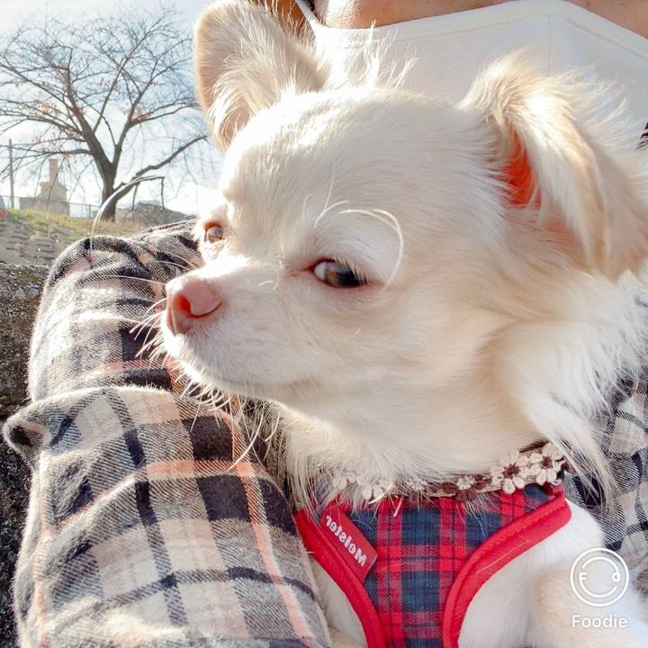 8cfcc9e7 0156 4426 a768 a7aa69b1596d 1606368976283