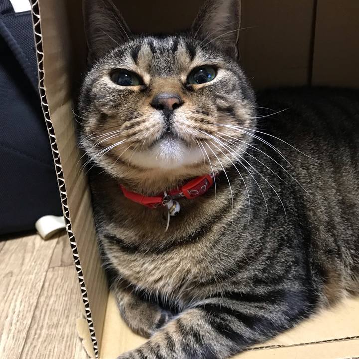 8cfcde41 5558 47e1 87f4 afaba6c8e1a3 1642549479017