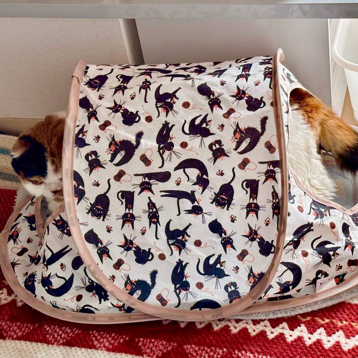 8cfcfbb1 2635 4df7 8401 4037d7f093ce 1730420903274