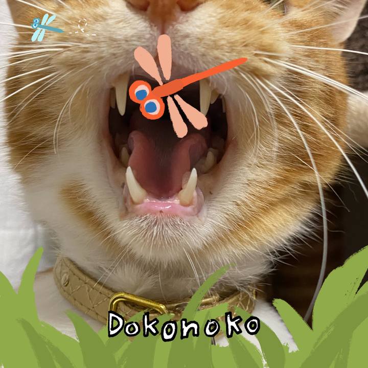 8cfd0b48 973b 4b5b 9a3c 15cede09b18d 1727258564572