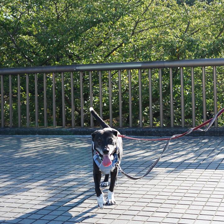 8cfd703e 39ad 4b92 ab68 267583a979be 1757290221516