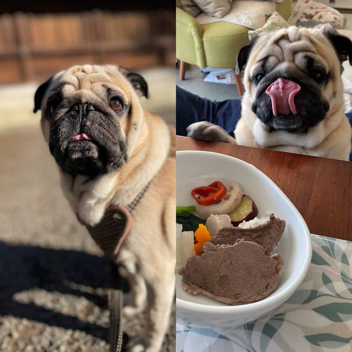 8cfd813d f116 4e90 b52e 7908a654318c 1641001306921