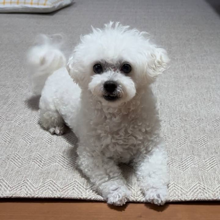 8cfd9e0a 4775 4e40 9ecb a22a3eaad3da 1701592061159