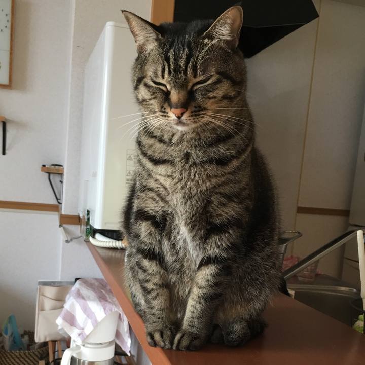 8cfdad3e c7b1 4c07 a80e 65f94a71d8b3 1550621450376